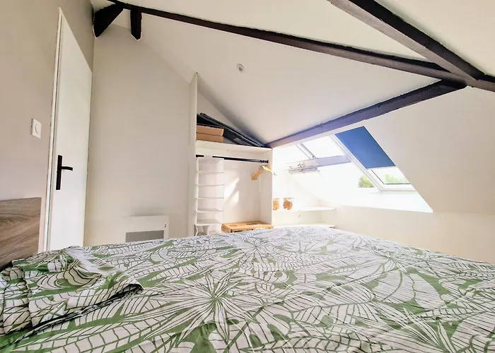 Apartament Le Mignon *